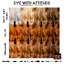 666028040-2-Attitude Hair Dye.webp