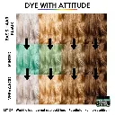 666028025-2-Attitude Hair Dye.webp