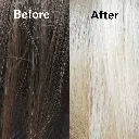 666028029-2-Attitude Hair Dye.webp
