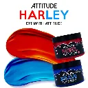 666028118-4W-Attitude Hair Dye.webp