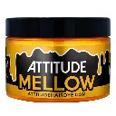 666028011-5-Attitude Hair Dye2026.webp